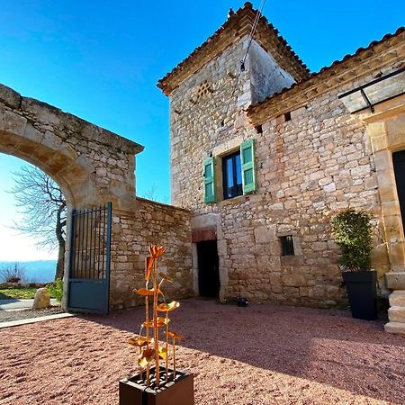 Domaine De Lejos - Portes D'Albi Lamillarie Exterior photo