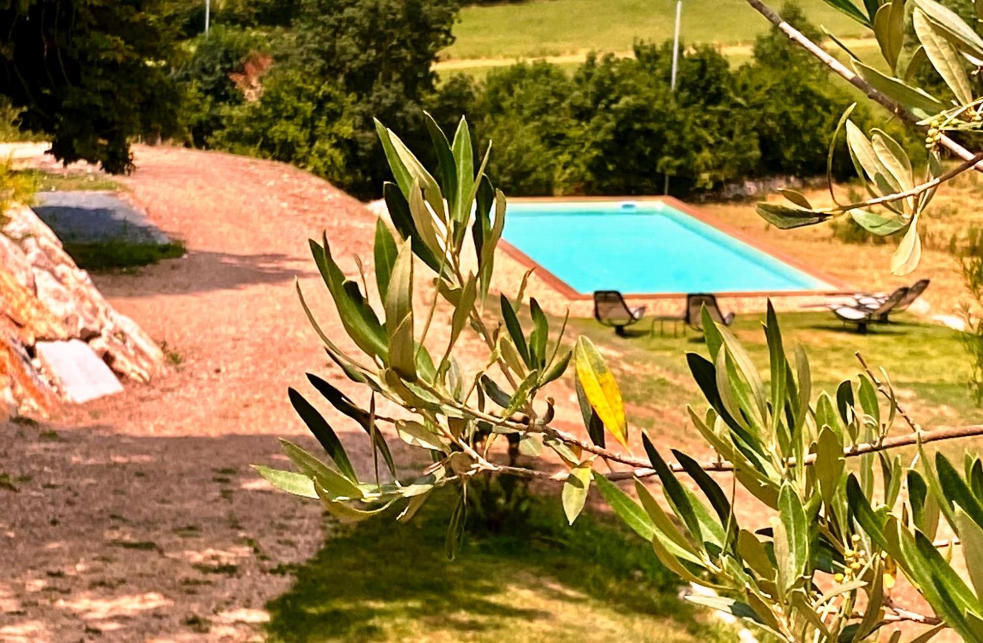 Domaine De Lejos - Portes D'Albi Lamillarie Exterior photo
